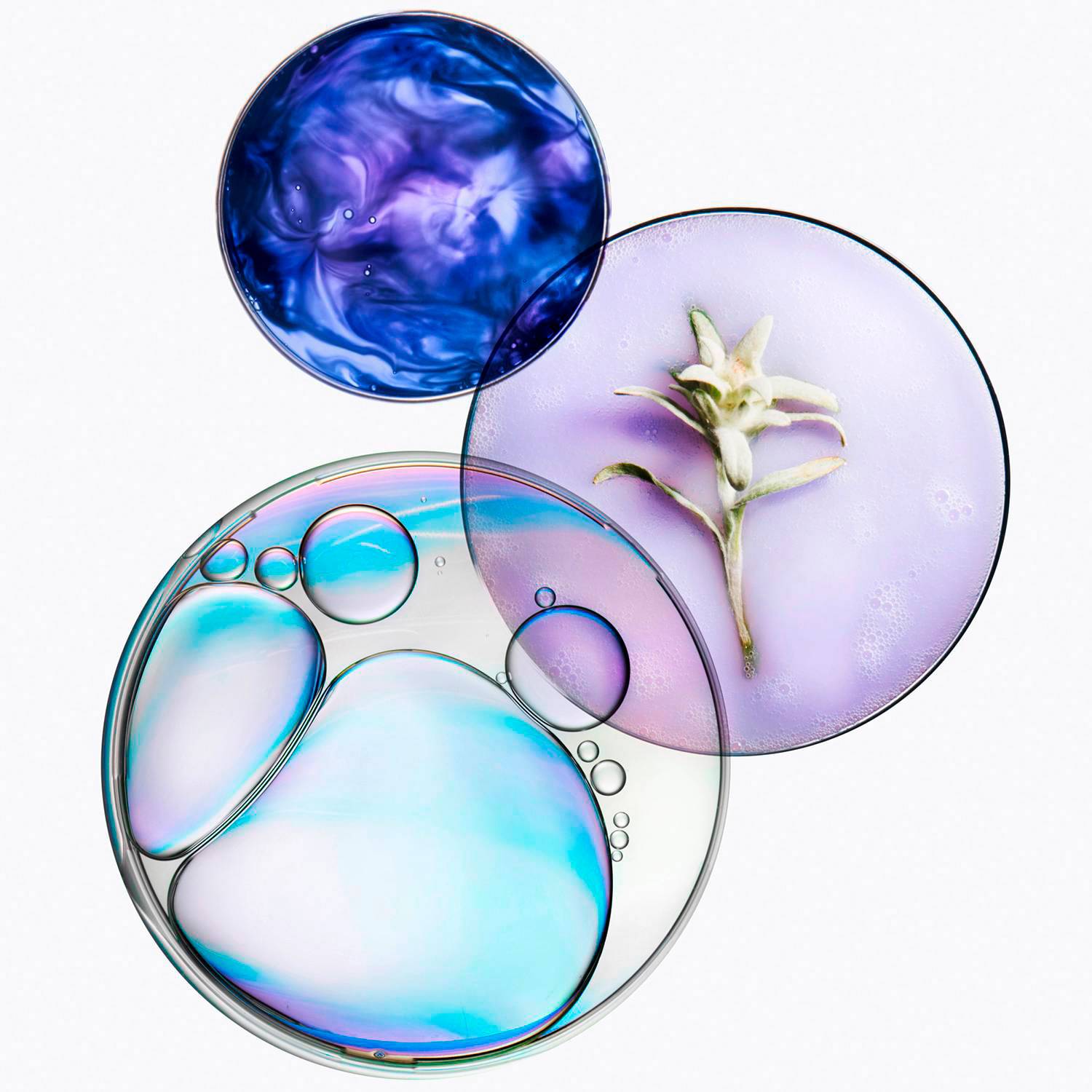 Acondicionador Blond Cicaflash 250 ml - Imagen 4