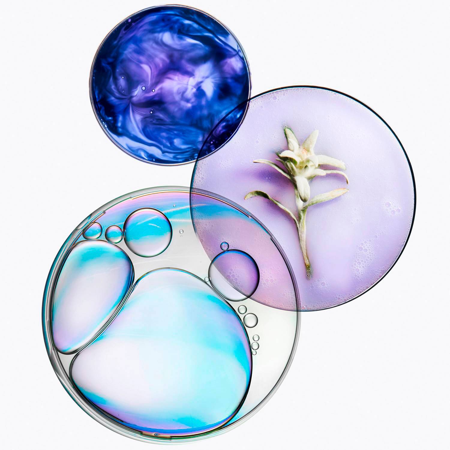 Termoprotector Cicaplasme 150 ml Blond Absolu Cabello rubio - Imagen 4